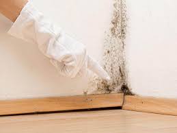 Why You Should Choose Our Mold Remediation Services in Logan, WV